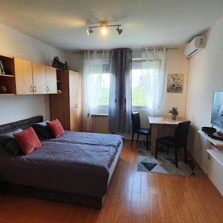 Apartman 64 - Besplatan Parking Za Goste نوفي ساد المظهر الخارجي الصورة