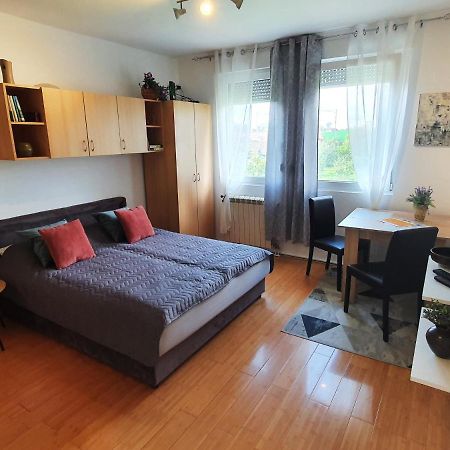 Apartman 64 - Besplatan Parking Za Goste نوفي ساد المظهر الخارجي الصورة