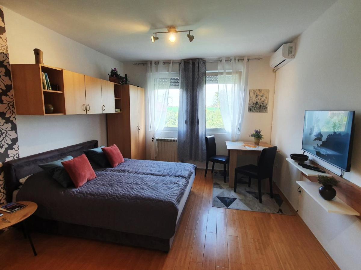 Apartman 64 - Besplatan Parking Za Goste نوفي ساد المظهر الخارجي الصورة